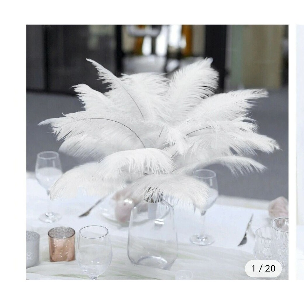 White Ostrich Feathers 12-15 inch 10 pieces (ships/sold from NJ USA)